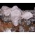 Calcite, Fluorite and Pyrite Villabona M04394